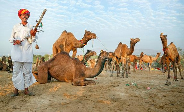 3 Nights / 4 Days Rajasthan Budget Tour Package B2B DMC